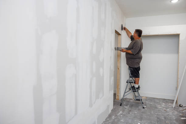 Best Drywall Patching  in USA